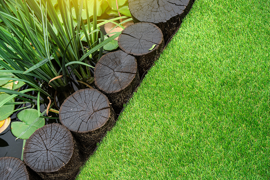 Panda Grass